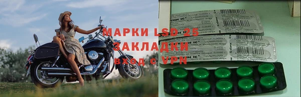 PSILOCYBIN Гусев