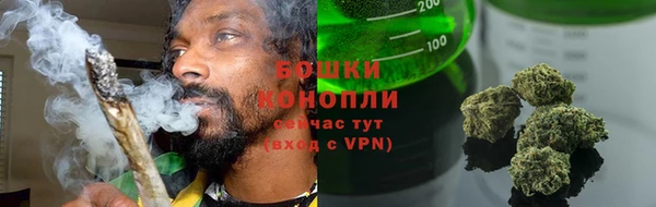 Альфа ПВП Гусиноозёрск