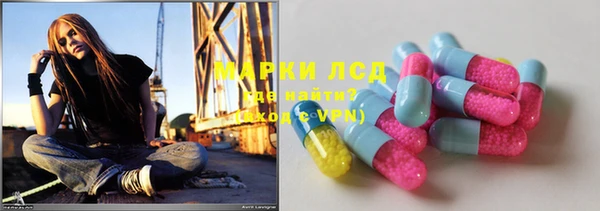 PSILOCYBIN Гусев