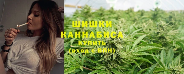 PSILOCYBIN Гусев
