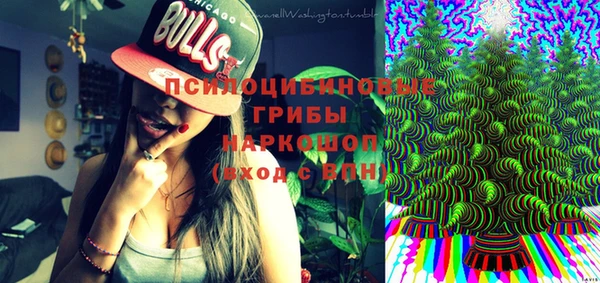 марки lsd Гусь-Хрустальный